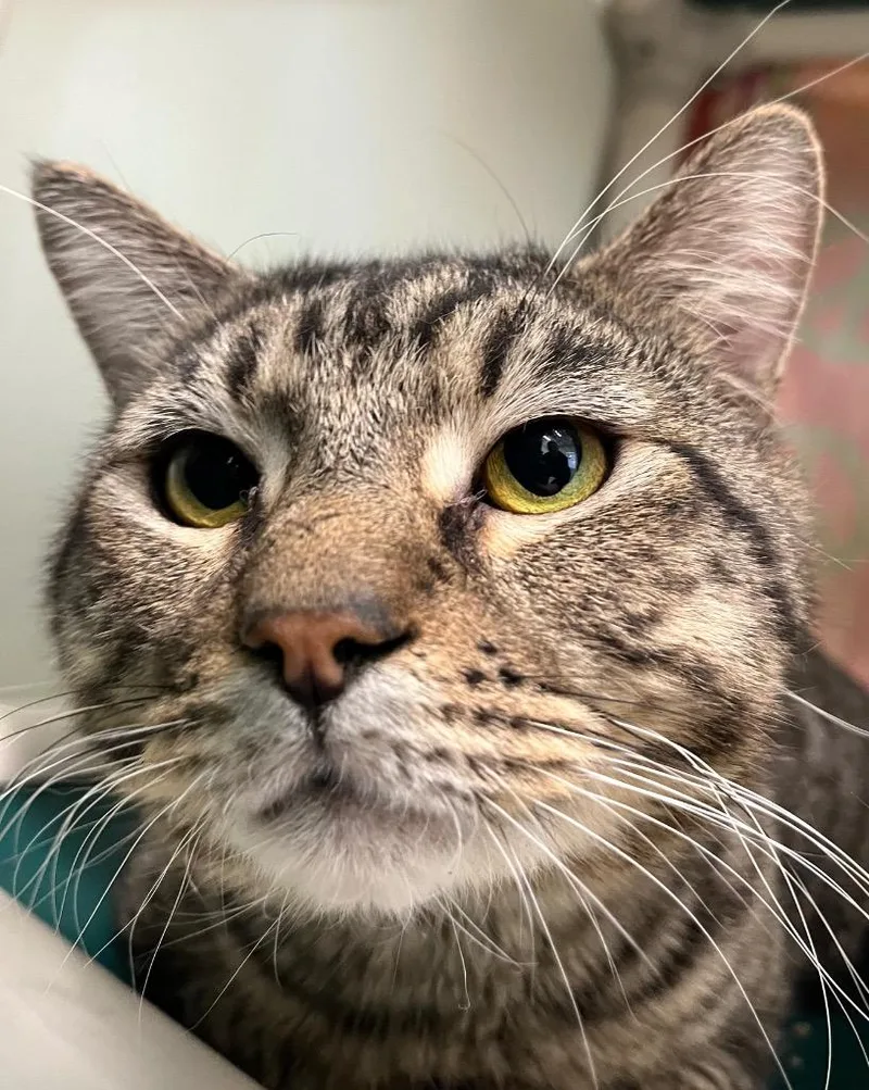 Champagne thumbnail 4