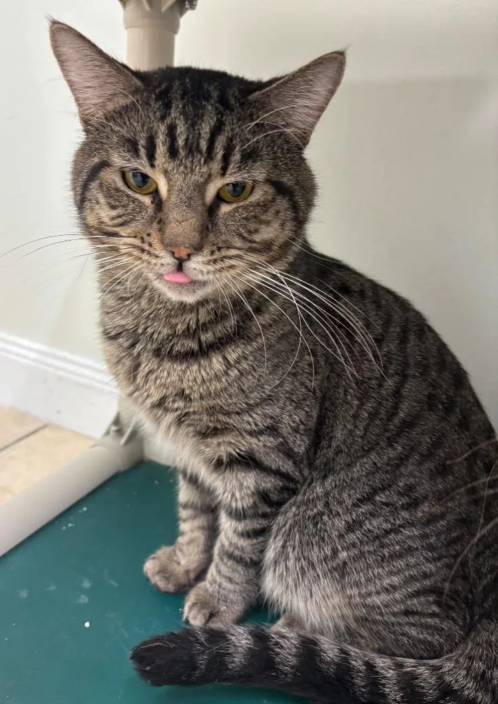 Champagne thumbnail 5