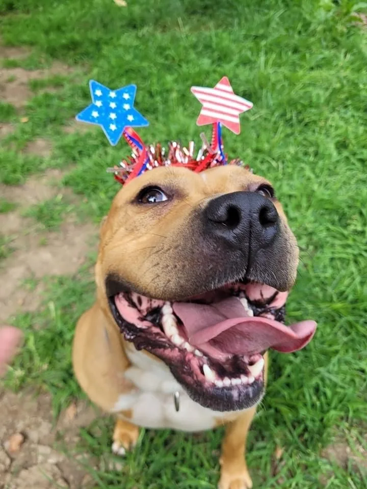 Duke Sponsored thumbnail 2