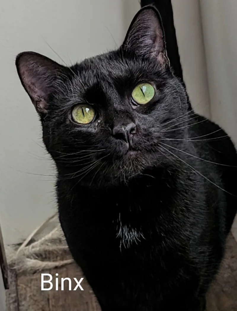 Binx