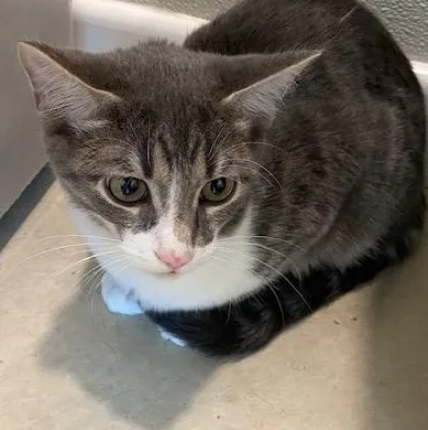 Spudnick thumbnail 2