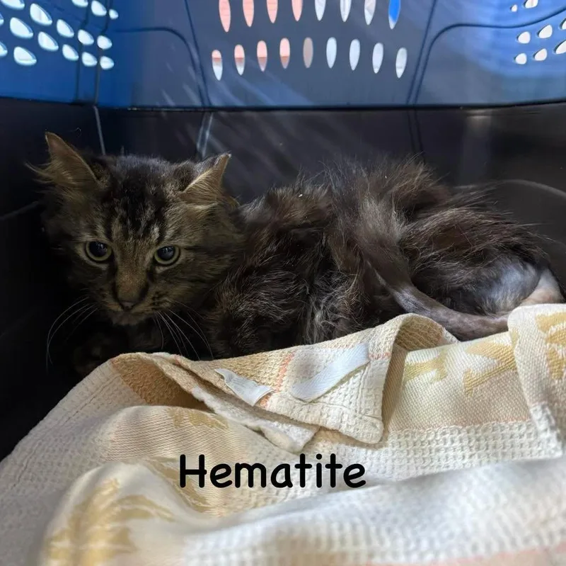 Hematite