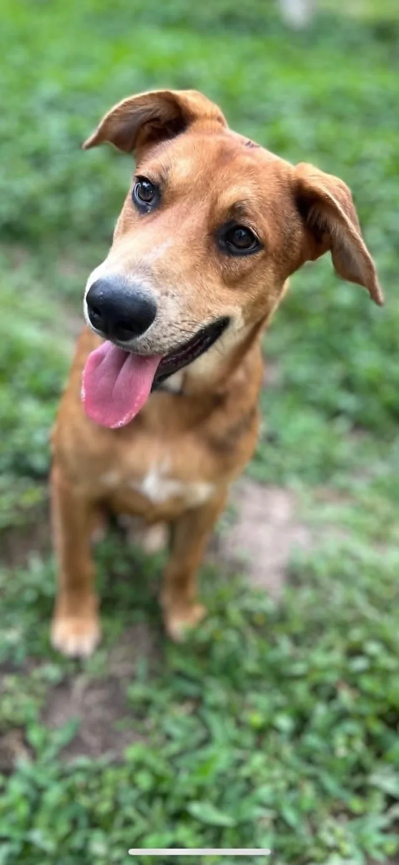Friday thumbnail 3