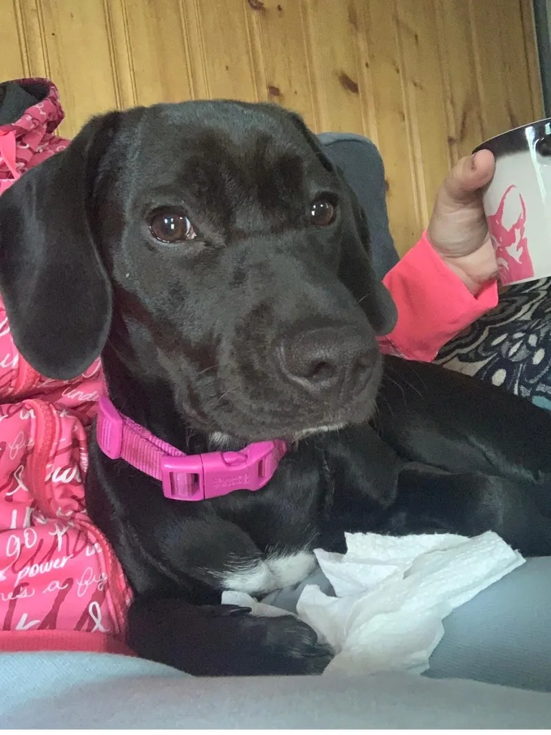 Pepper thumbnail 2