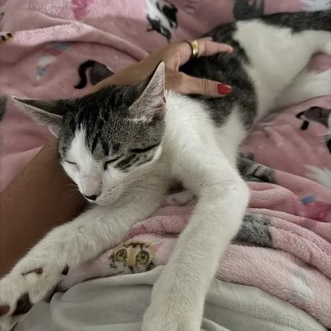 Jasper  professional cuddle thumbnail 2