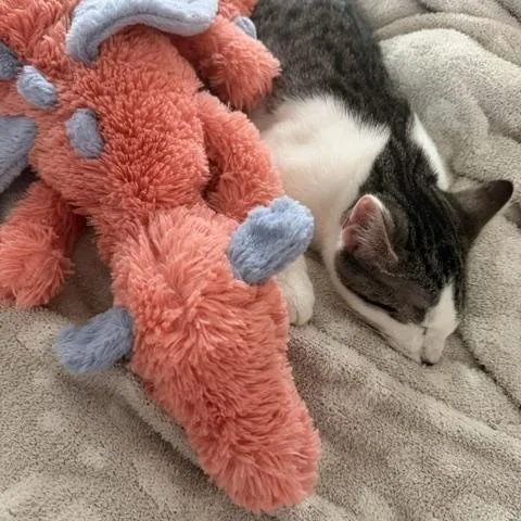 Jasper  professional cuddle thumbnail 4