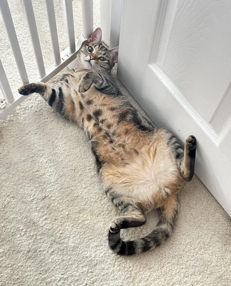 Macon & Brock thumbnail 5