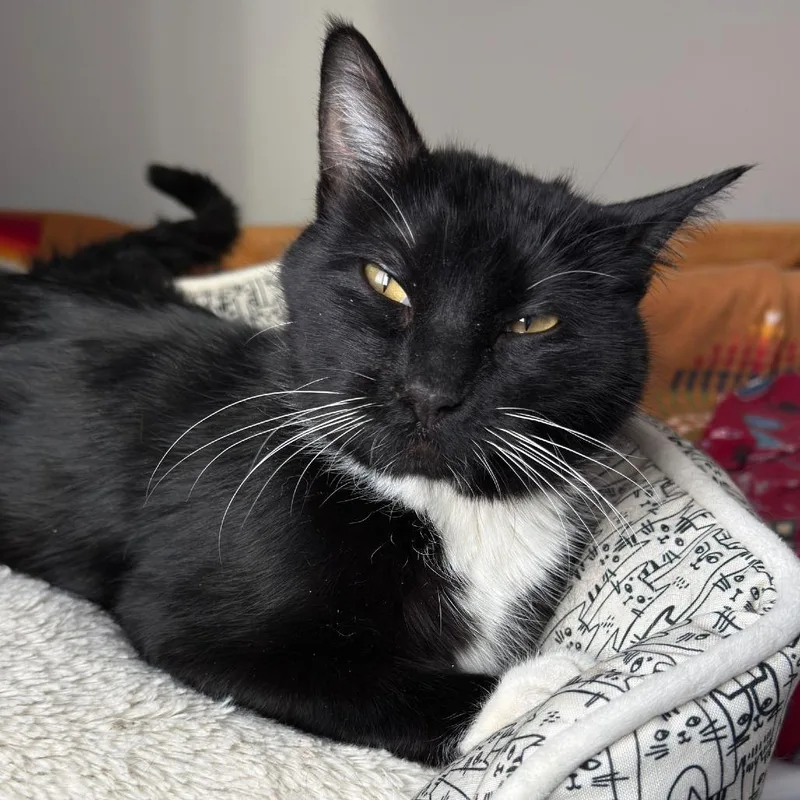 Paulette C thumbnail 2