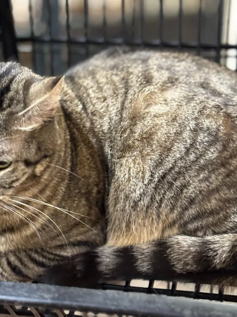 Dee Maria thumbnail 2