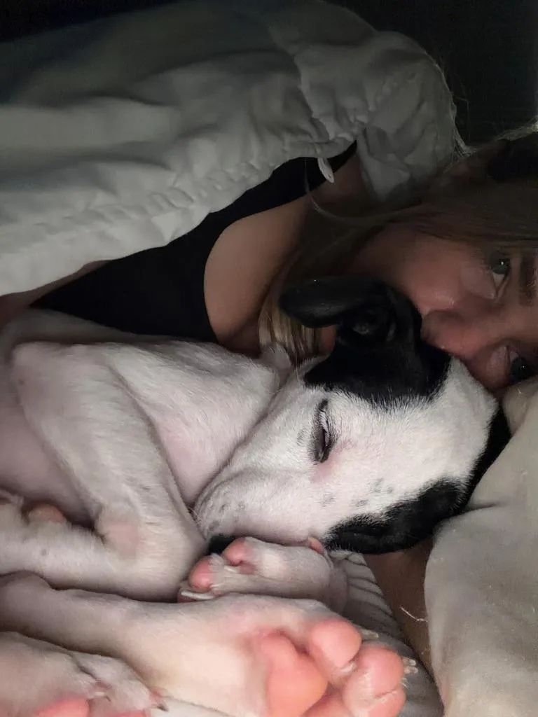 Boba  The Cuddliest thumbnail 6
