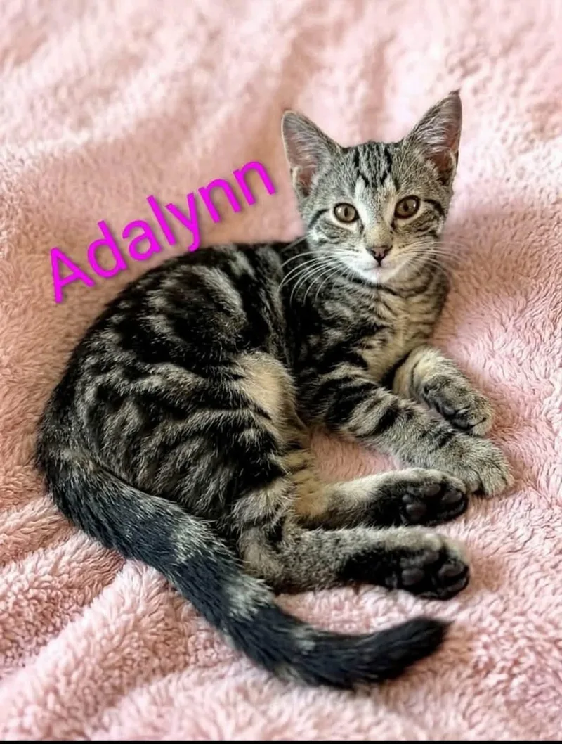 Adalynn thumbnail 2