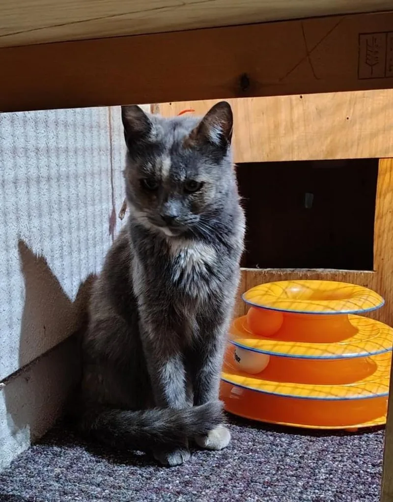 Neal & Kaye thumbnail 3