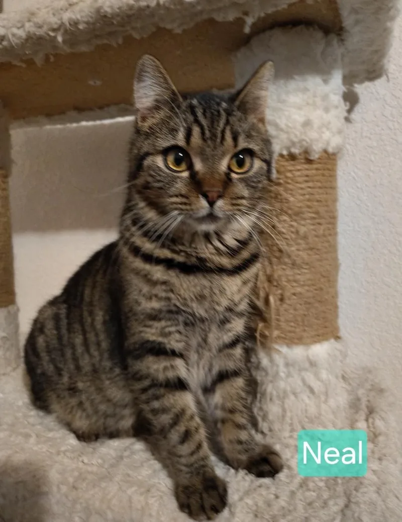 Neal & Kaye thumbnail 4