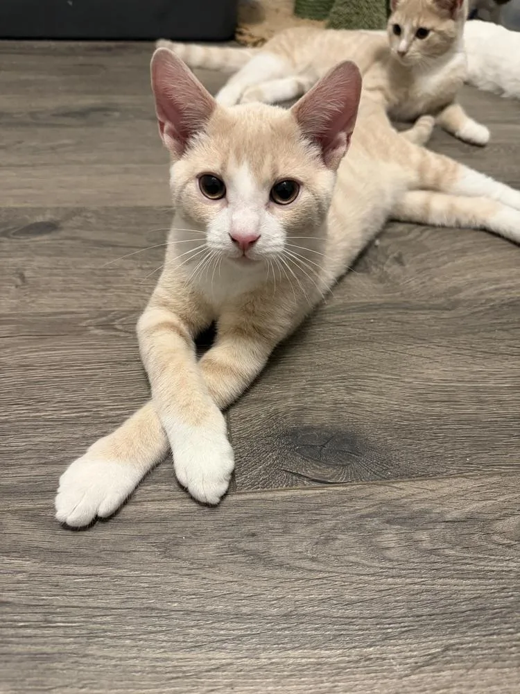 Mark Sloan thumbnail 2