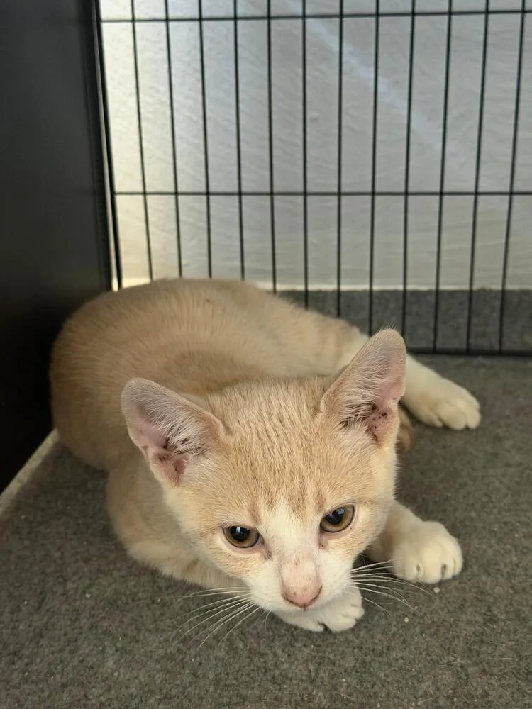 Mark Sloan thumbnail 3