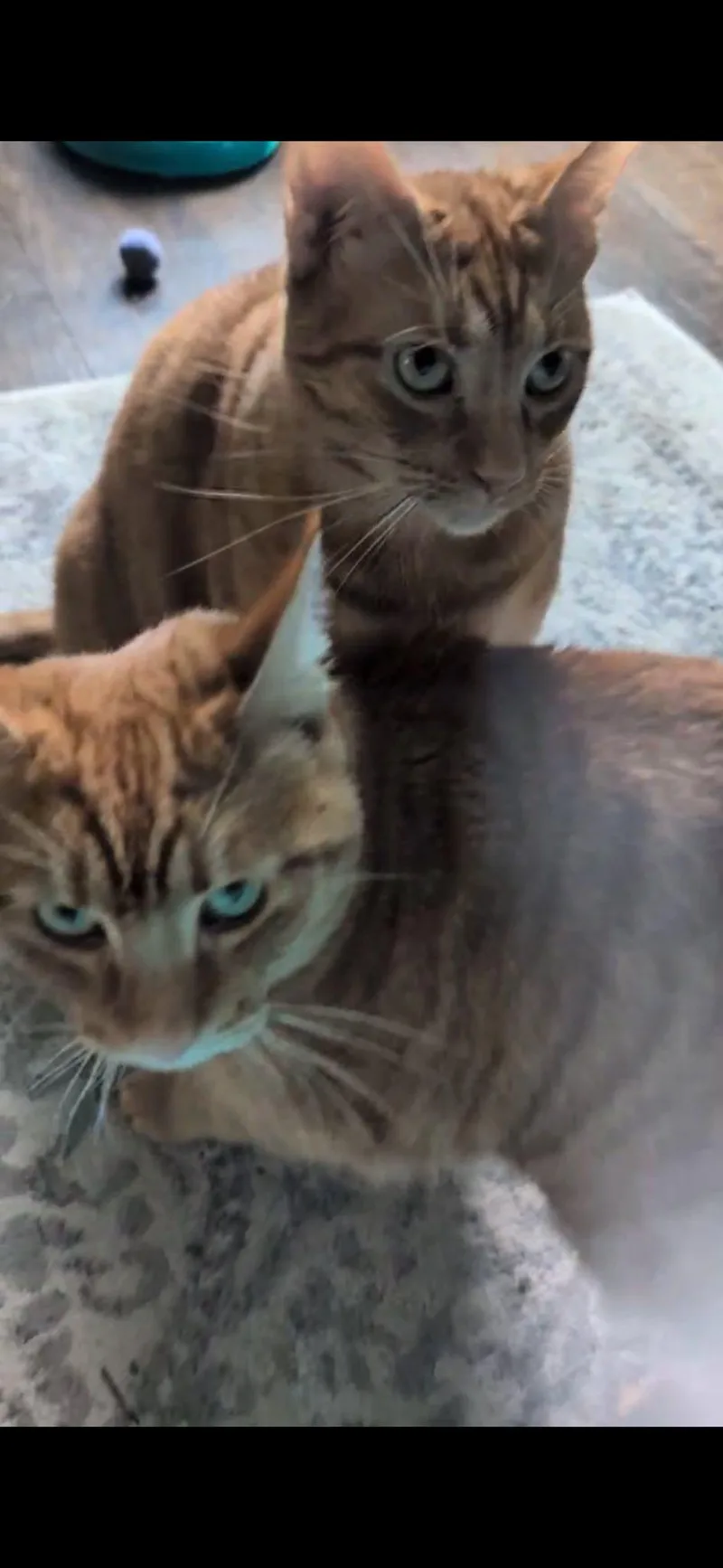 Cooper & Tucker thumbnail 2