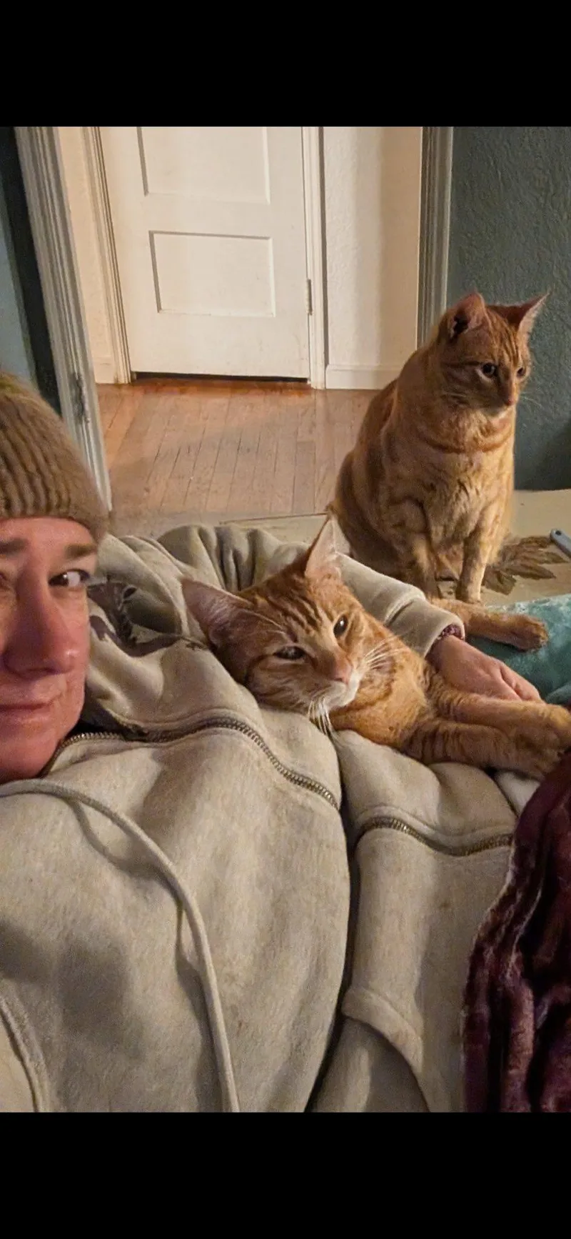 Cooper & Tucker thumbnail 3