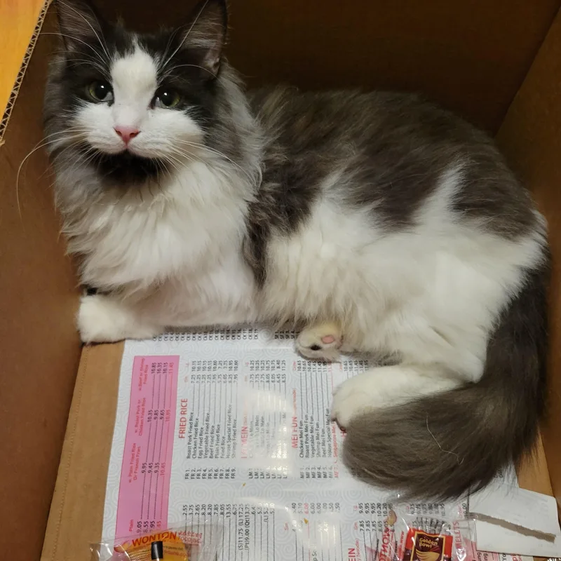 Princess & Fuzz thumbnail 4