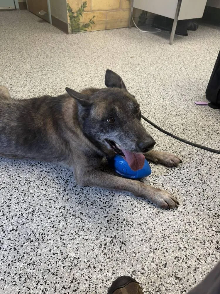 Clyde Located In Oklahoma