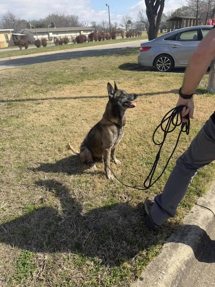 Clyde Located In Oklahoma thumbnail 3