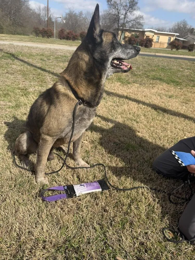 Clyde Located In Oklahoma thumbnail 4