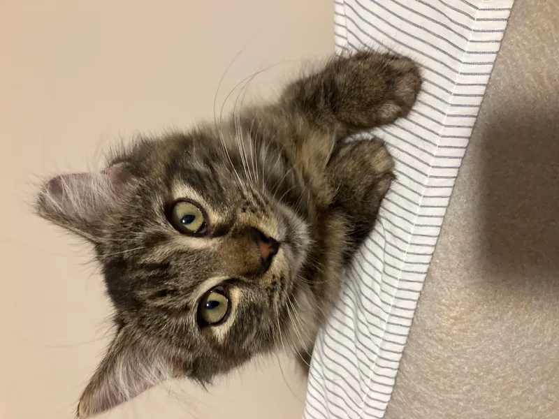 Snickers & Molly thumbnail 2