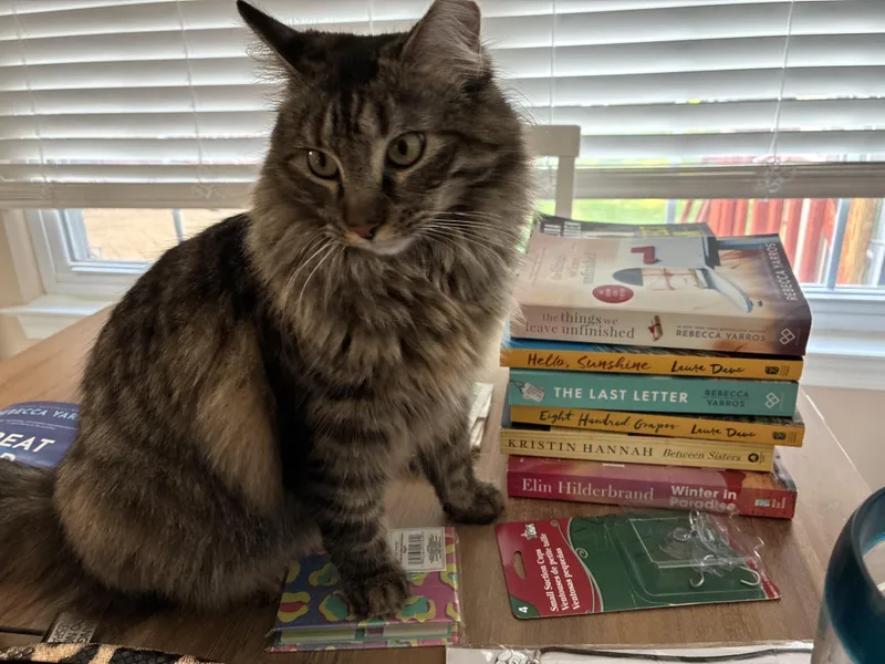 Snickers & Molly thumbnail 4