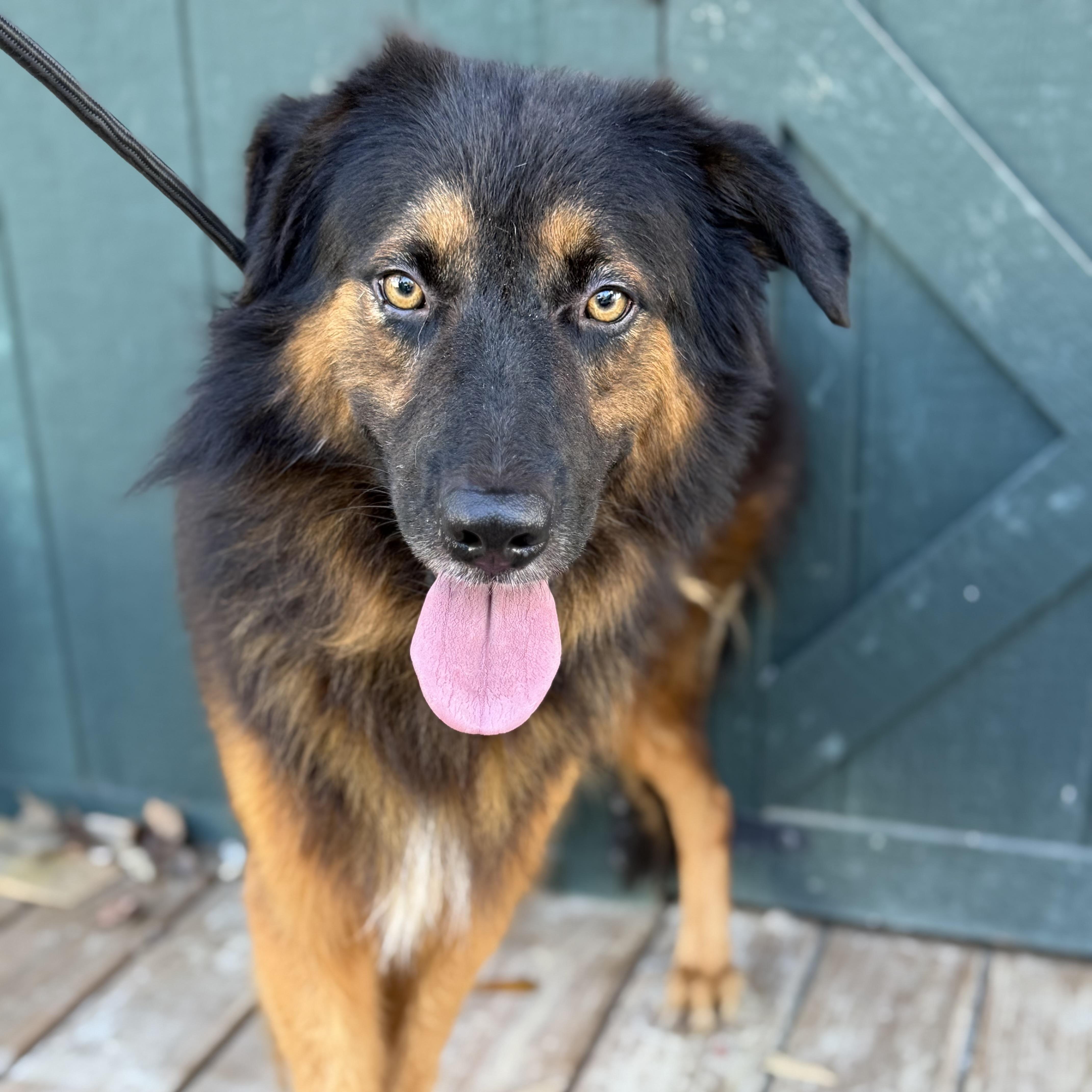 Rambo