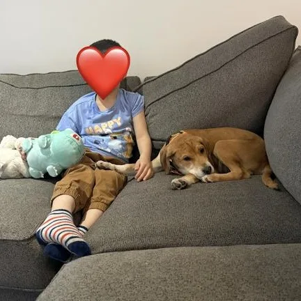 Rosie Green  Local thumbnail 2