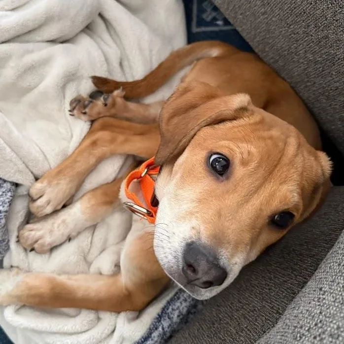 Rosie Green  Local thumbnail 4