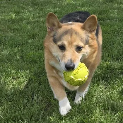 Hunter
