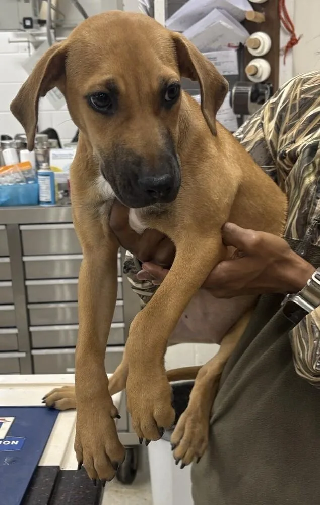 Ms. Webster thumbnail 2