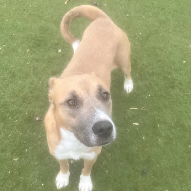 Goldie! Miss Congeniality! thumbnail 3