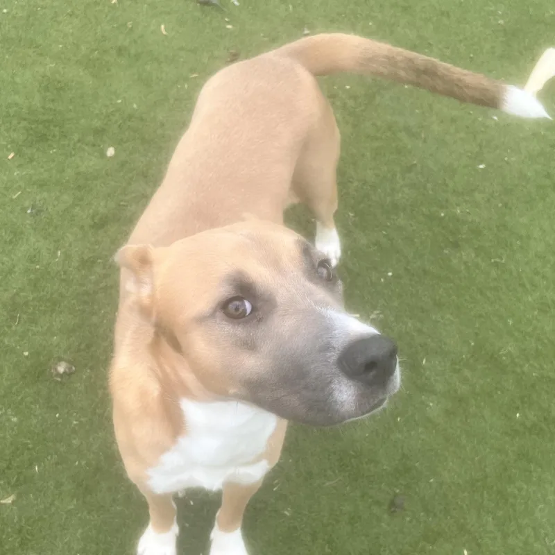 Goldie! Miss Congeniality! thumbnail 5