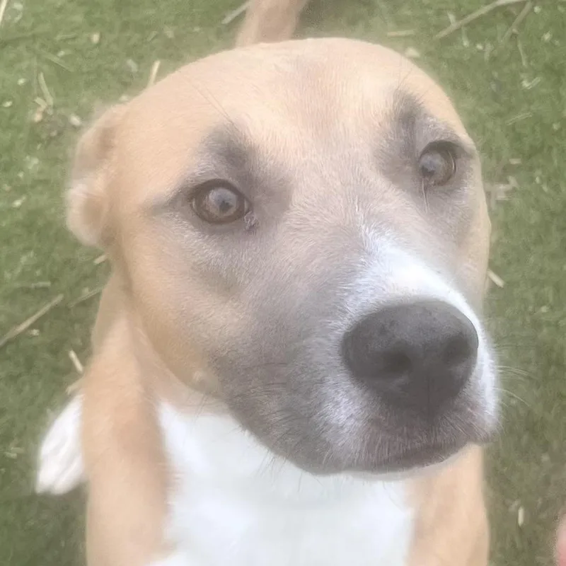 Goldie! Miss Congeniality! thumbnail 6