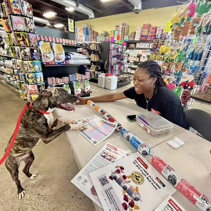 Truman  Needs A thumbnail 3