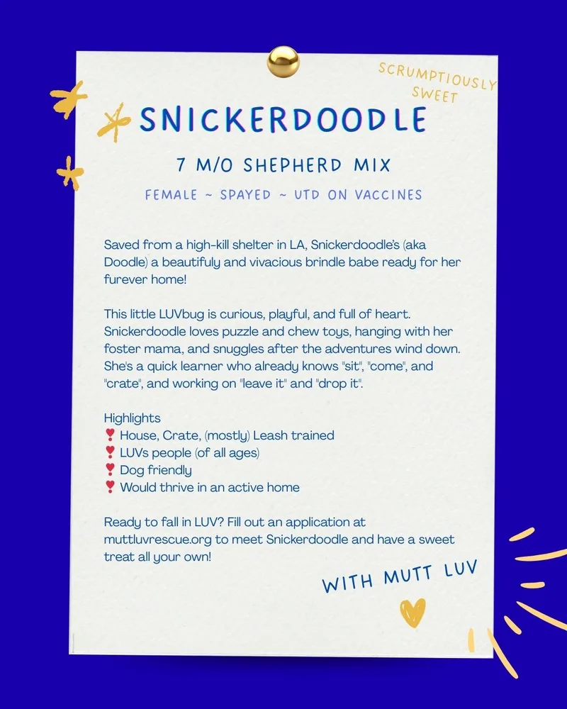 Snickerdoodle thumbnail 5