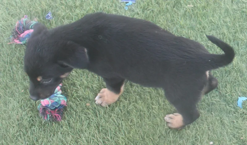 Chloe thumbnail 2