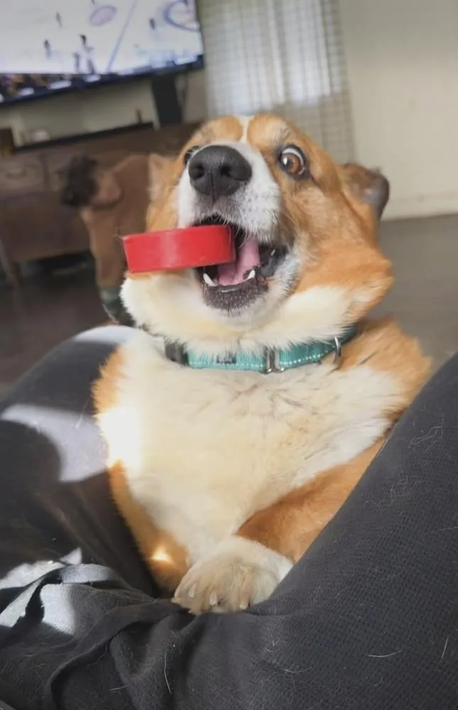 Koby