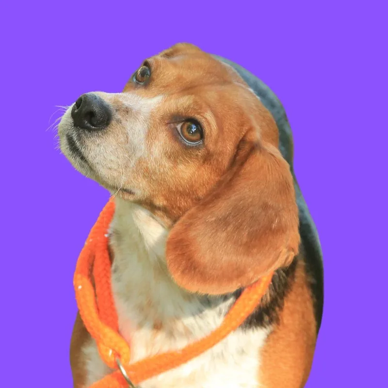 Edith thumbnail 3