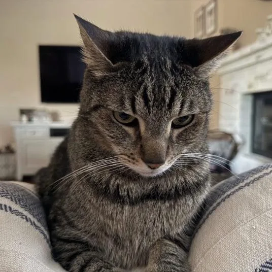 Carlos