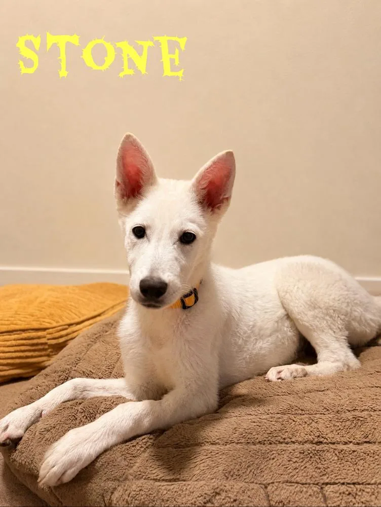 Stone thumbnail 2