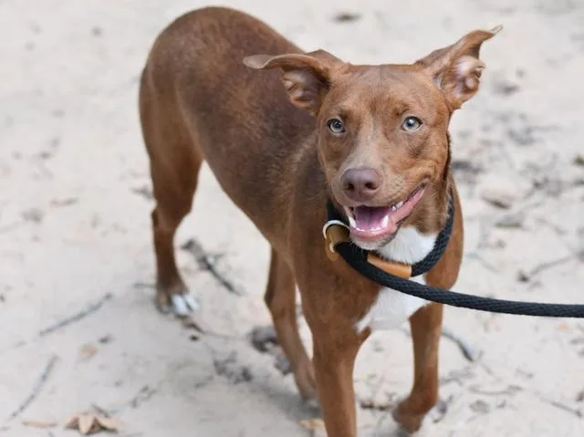 Kingston thumbnail 2