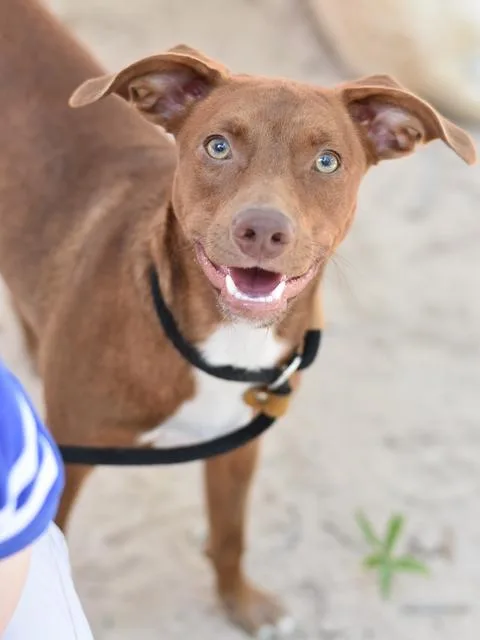 Kingston thumbnail 4