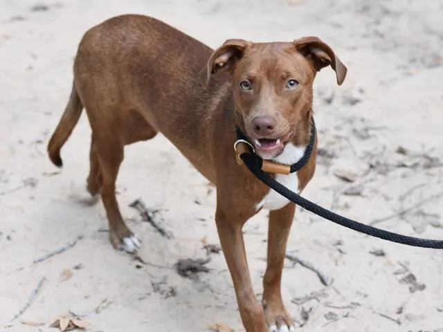 Kingston thumbnail 5