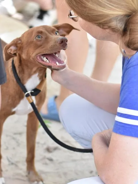 Kingston thumbnail 6