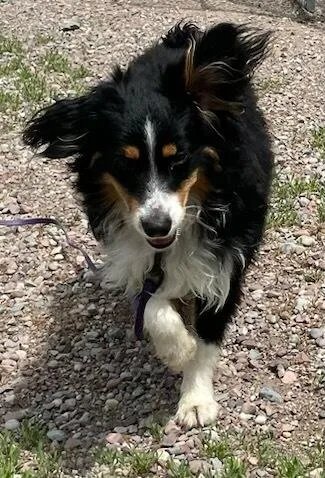 Oakley