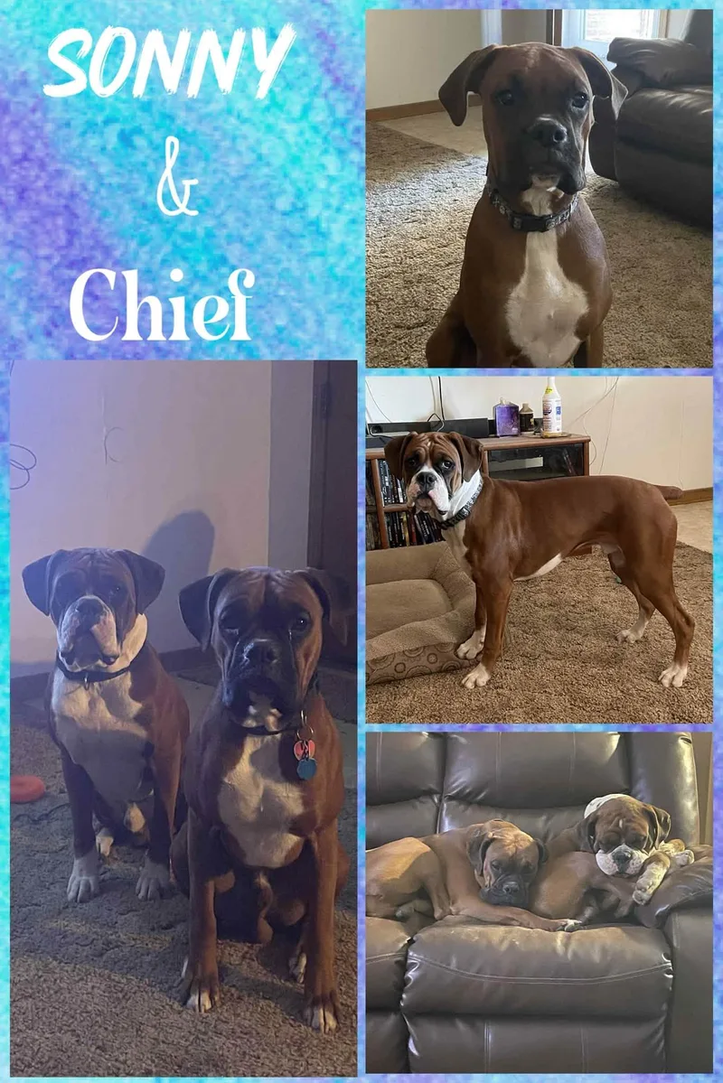 Sonny & Chief