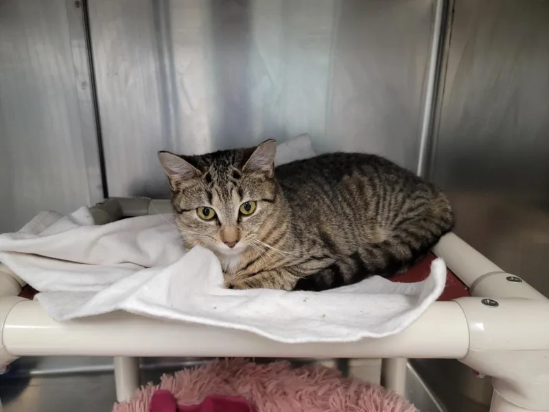 Sigourney thumbnail 2