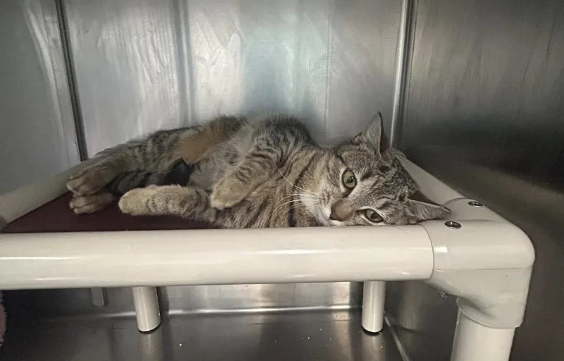 Sigourney thumbnail 4